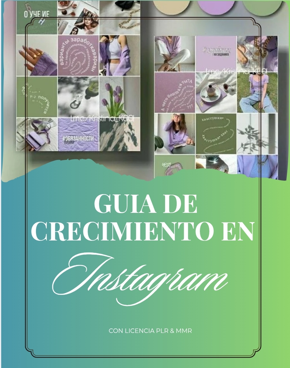Guía de Crecimiento en Instagram